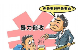 大新大新的要账公司在催收过程中的策略和技巧有哪些？